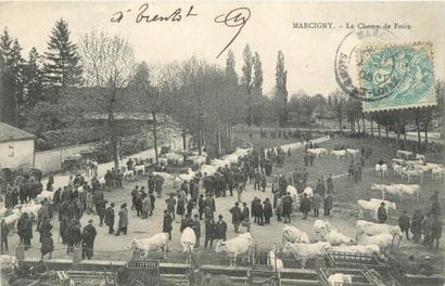 27 CARTES POSTALES LES MARCHES : Divers Départements...