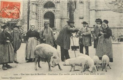 27 CARTES POSTALES LES MARCHES : Divers Départements...
