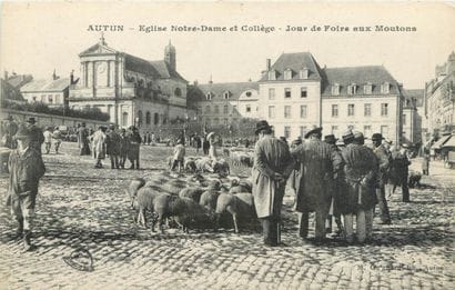 27 CARTES POSTALES LES MARCHES : Divers Départements...