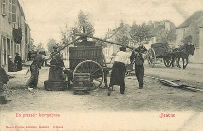 19 CARTES POSTALES ALCOOL : Les Pressoirs...