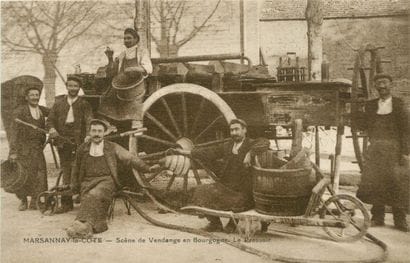 19 CARTES POSTALES ALCOOL : Les Pressoirs...