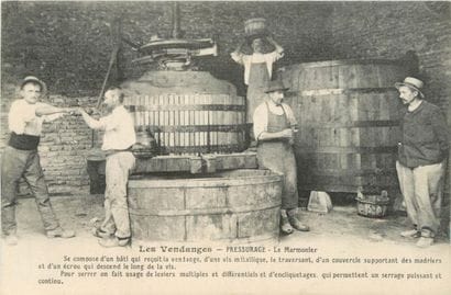 19 CARTES POSTALES ALCOOL : Les Pressoirs...