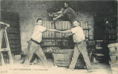 19 CARTES POSTALES ALCOOL : Les Pressoirs...
