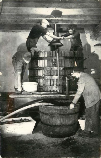 19 CARTES POSTALES ALCOOL : Les Pressoirs...