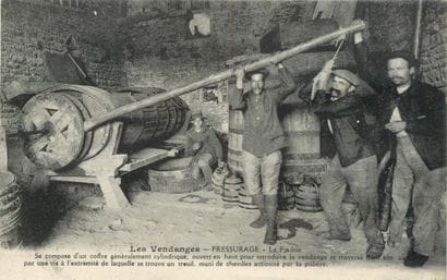 9 CARTES POSTALES ALCOOL : Les Pressoirs...