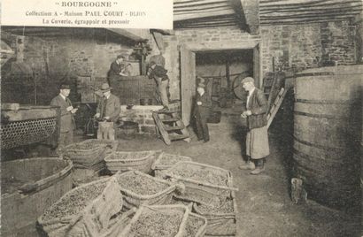 25 CARTES POSTALES ALCOOL : En Bourgogne...