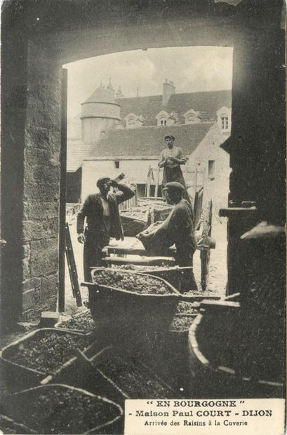 25 CARTES POSTALES ALCOOL : En Bourgogne...