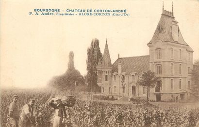 36 CARTES POSTALES ALCOOL : En Bourgogne...