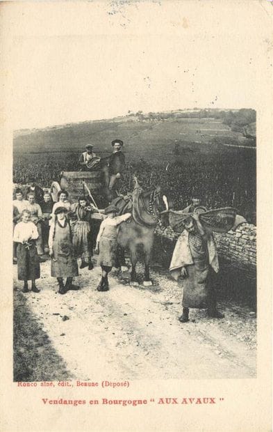 36 CARTES POSTALES ALCOOL : En Bourgogne...