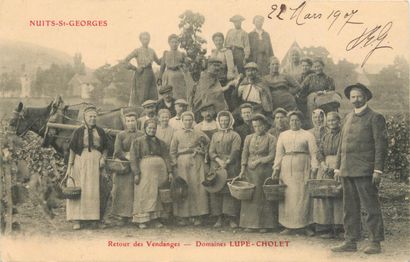 36 CARTES POSTALES ALCOOL : En Bourgogne...