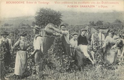 36 CARTES POSTALES ALCOOL : En Bourgogne...