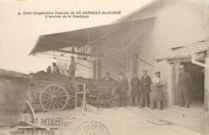 36 CARTES POSTALES ALCOOL : En Bourgogne...