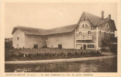 36 CARTES POSTALES ALCOOL : En Bourgogne...