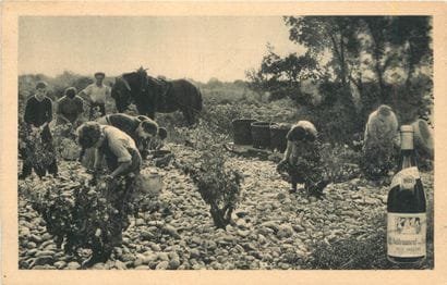 35 CARTES POSTALES ALCOOL : Divers Départements,...