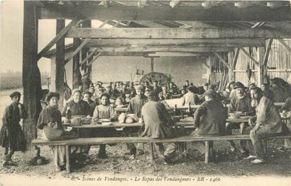 35 CARTES POSTALES ALCOOL : Divers Départements,...