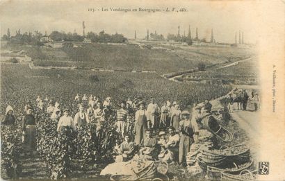 30 CARTES POSTALES ALCOOL : En Bourgogne...