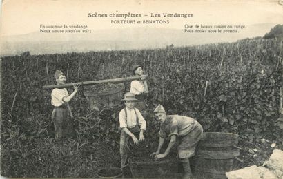 30 CARTES POSTALES ALCOOL : En Bourgogne...