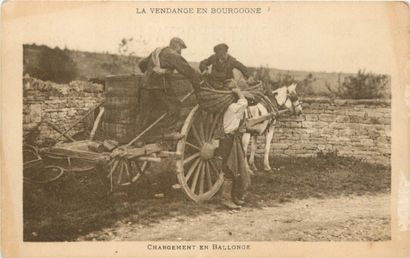 30 CARTES POSTALES ALCOOL : En Bourgogne...