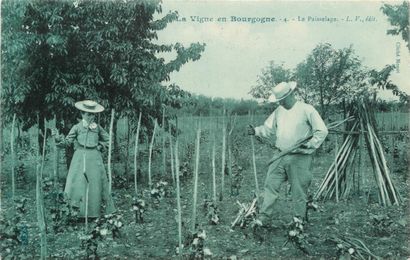 30 CARTES POSTALES ALCOOL : En Bourgogne...
