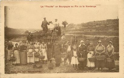 30 CARTES POSTALES ALCOOL : En Bourgogne...