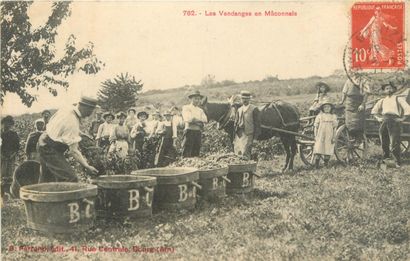 30 CARTES POSTALES ALCOOL : En Bourgogne...