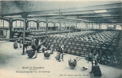 51 CARTES POSTALES LE CHAMPAGNE : Maison...