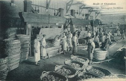 51 CARTES POSTALES LE CHAMPAGNE : Maison...