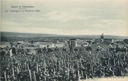 51 CARTES POSTALES LE CHAMPAGNE : Maison...