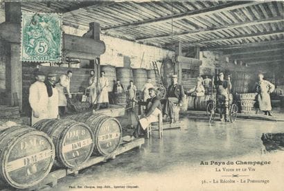 66 CARTES POSTALES LE CHAMPAGNE : Diverses...