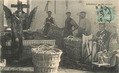 66 CARTES POSTALES LE CHAMPAGNE : Diverses...