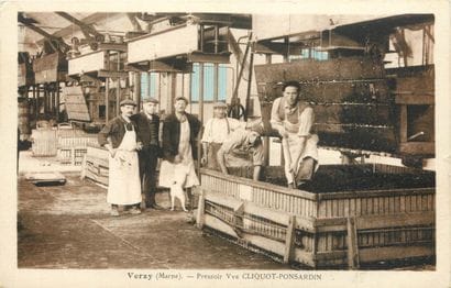66 CARTES POSTALES LE CHAMPAGNE : Diverses...