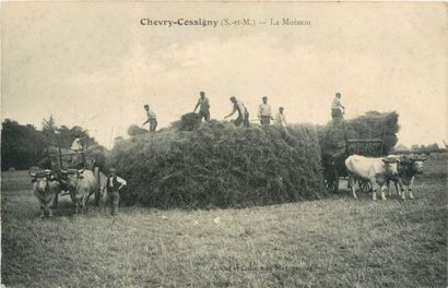 11 CARTES POSTALES SCENES & TYPES : Sélection....