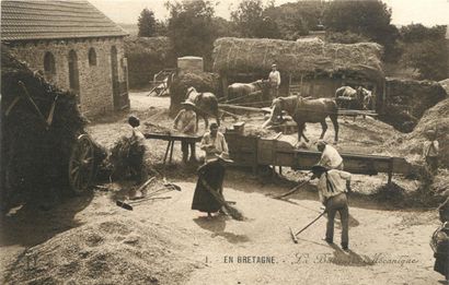 11 CARTES POSTALES SCENES & TYPES : Sélection....