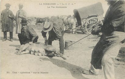 11 CARTES POSTALES SCENES & TYPES : Sélection....