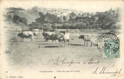 40 CARTES POSTALES ALGERIE : Alger-4cp &...