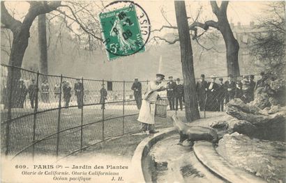 71 CARTES POSTALES PARIS & REGION PARISIENNE...