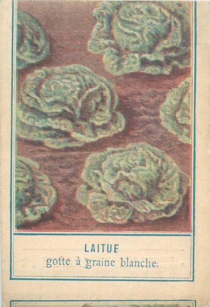 65 DOCUMENTS PUBLICITAIRES & DIVERS : Divers...