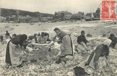 239 CARTES POSTALES SEINE MARITIME : Etretat....