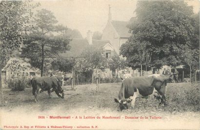 132 CARTES POSTALES PARIS & REGION PARISIENNE...
