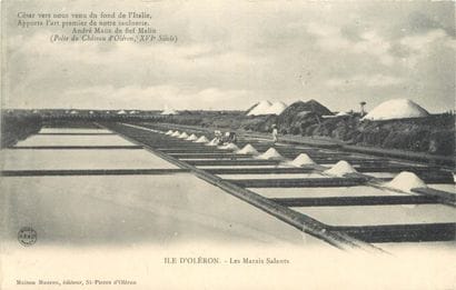 36 CARTES POSTALES SCENES & TYPES : Charente...