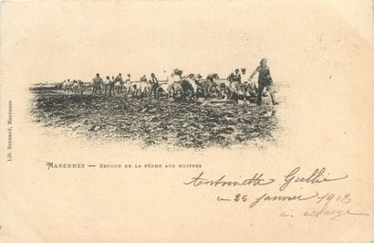 36 CARTES POSTALES SCENES & TYPES : Charente...