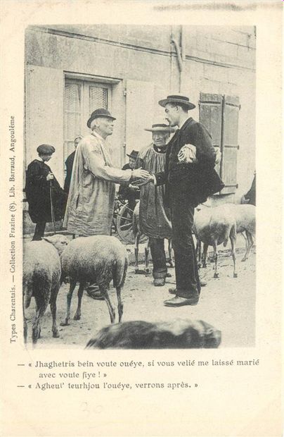 35 CARTES POSTALES PROVINCE : Dépts 16-15cp,...