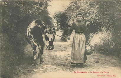 33 CARTES POSTALES FOLKLORES : Normandie-26cp...