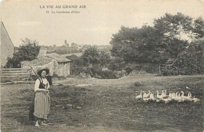 33 CARTES POSTALES FOLKLORES : Normandie-26cp...
