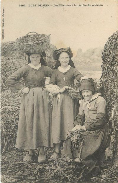 74 CARTES POSTALES BRETAGNE : Divers Départements....