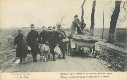 85 CARTES POSTALES & CARTES PHOTOS MILITARIA...