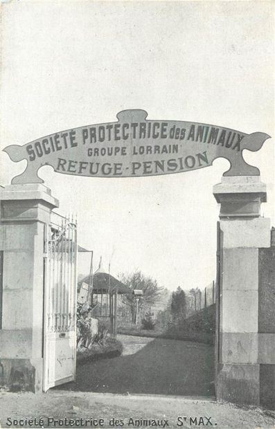 82 CARTES POSTALES MEURTHE & MOSELLE : Villes,...