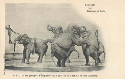62 CARTES POSTALES ARTISTES & SPECTACLES...