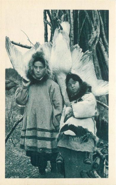 58 CARTES POSTALES ETRANGERS : Divers Pays....