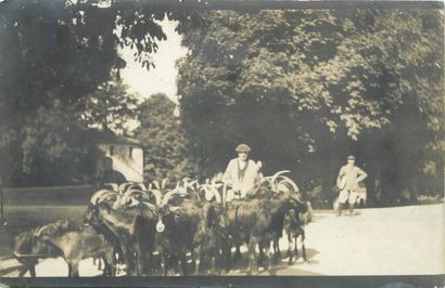 59 CARTES PHOTOS : Situées et/ou à Situer....